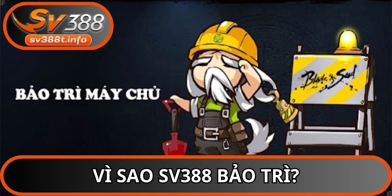 SV388 bảo trì để cải tiến dịch vụ