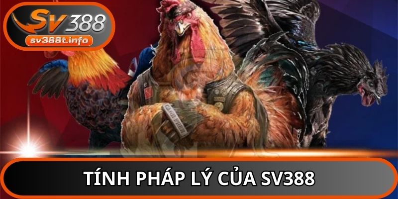 Tính pháp lý của SV388 tại Việt Nam và quốc tế được trình bày rõ ràng