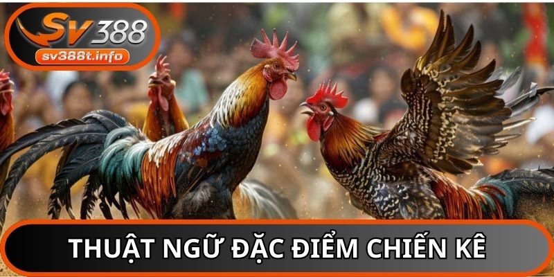 Thuật ngữ đá gà về đặc điểm chiến kê