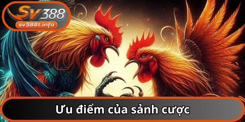 Ưu điểm của sảnh cược
